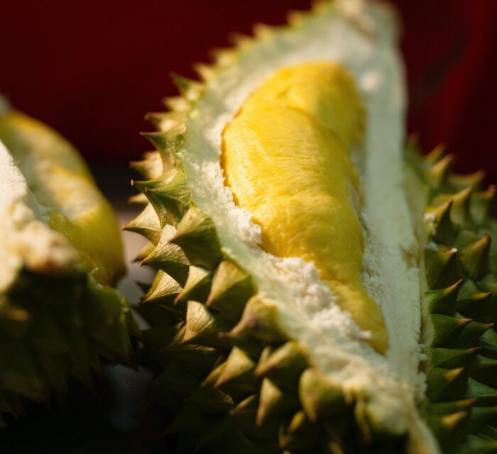 durian fruit in davao philippines