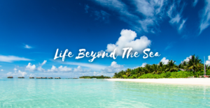 lifebeyondthesea reekay