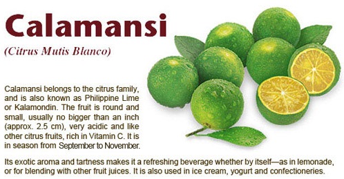 calamansi-2