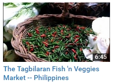 bohol tagbilaran market fish philippines